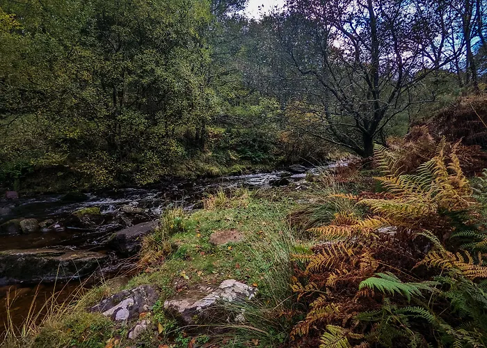 Mill Lodge-Brecon Beacons